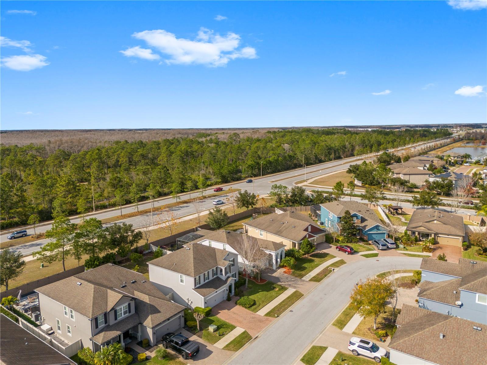 Image 55 of 64 For 1565 Feather Grass Loop