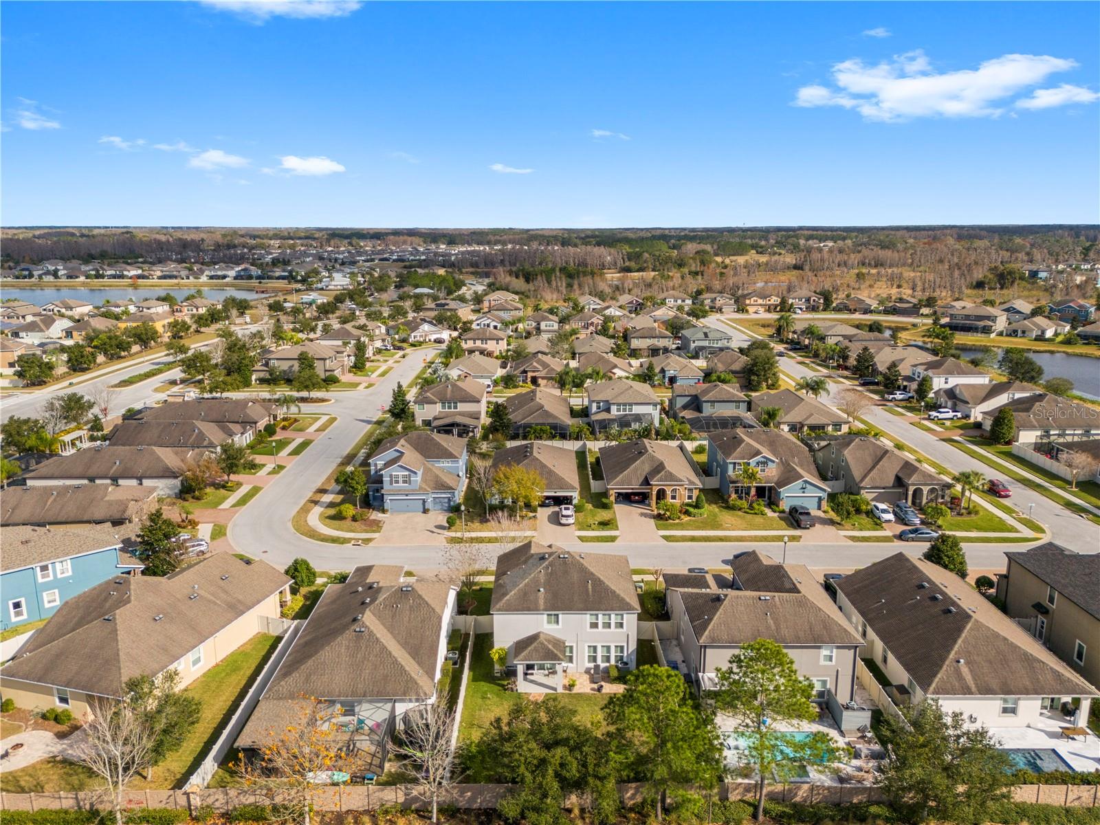 Image 57 of 64 For 1565 Feather Grass Loop