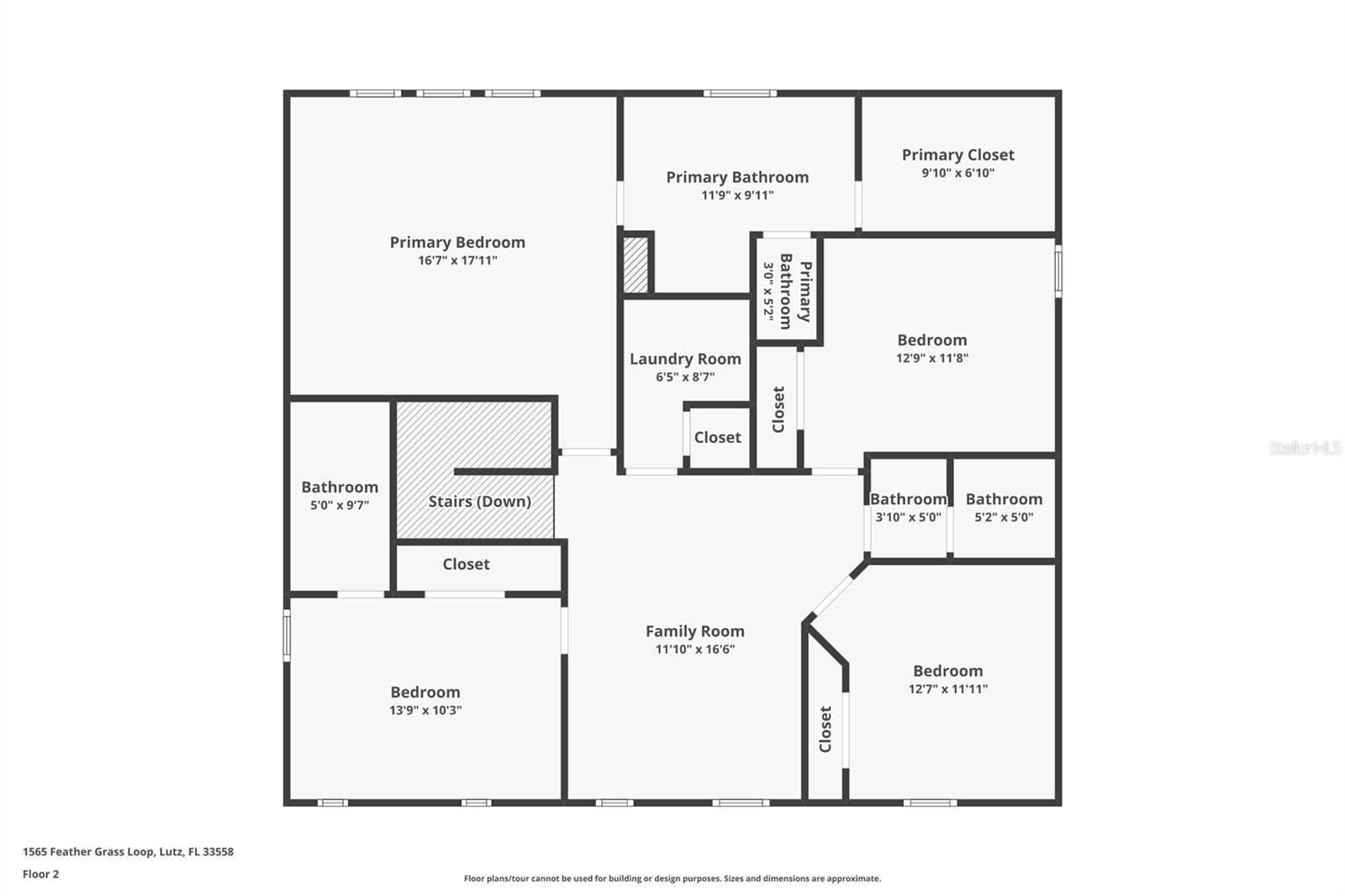Image 63 of 64 For 1565 Feather Grass Loop
