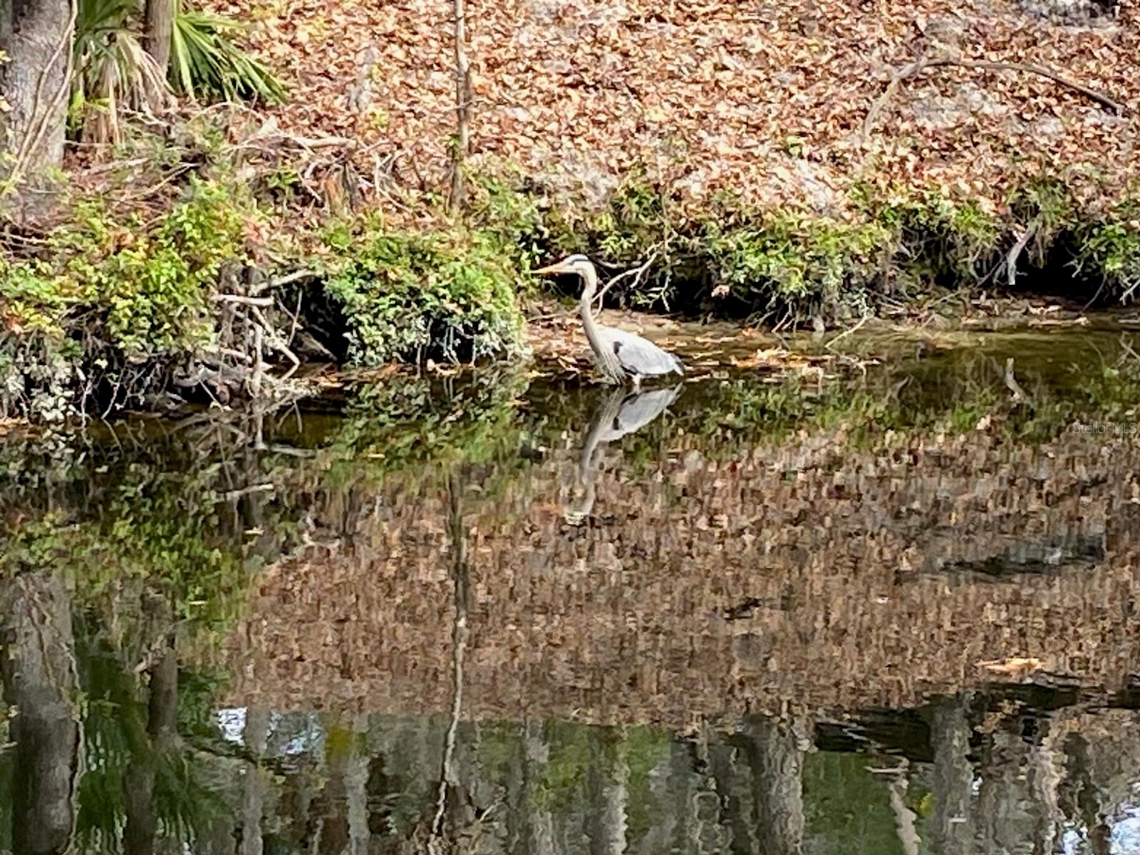 Image 11 of 12 For 8312 Revels Road