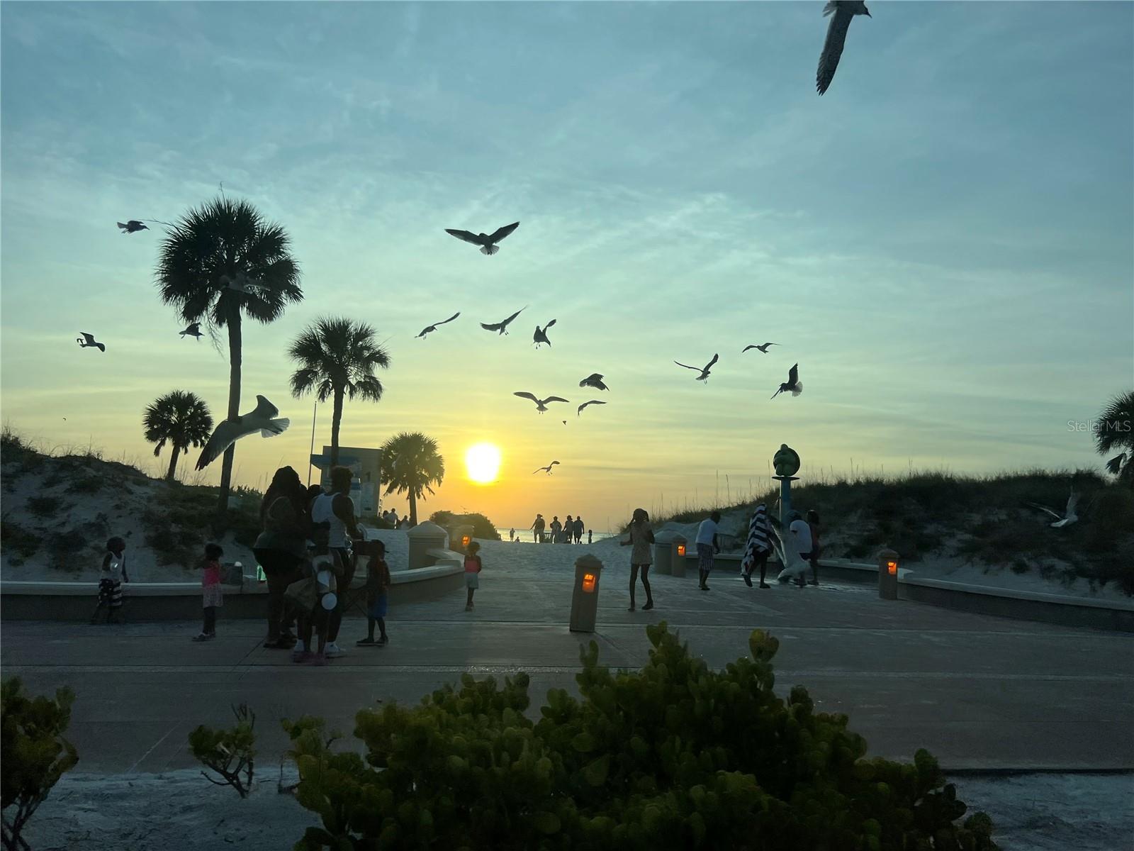 Image 68 of 91 For 1505 Laura Street