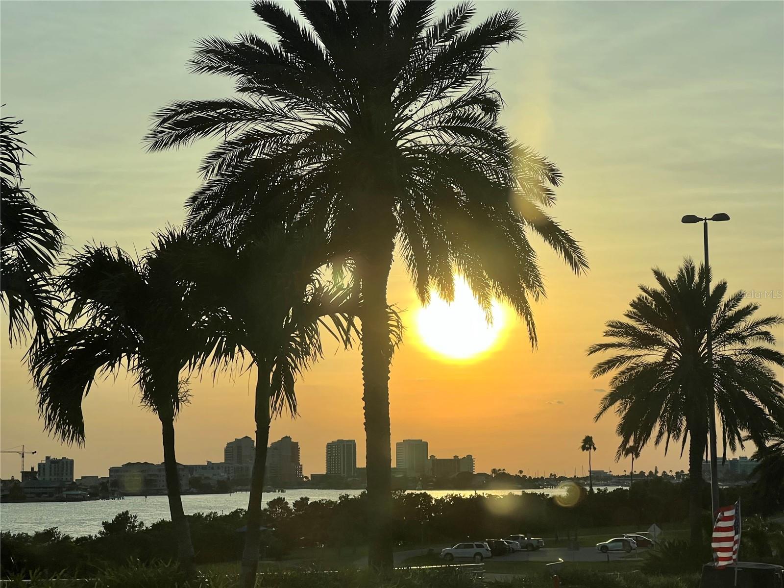 Image 69 of 91 For 1505 Laura Street