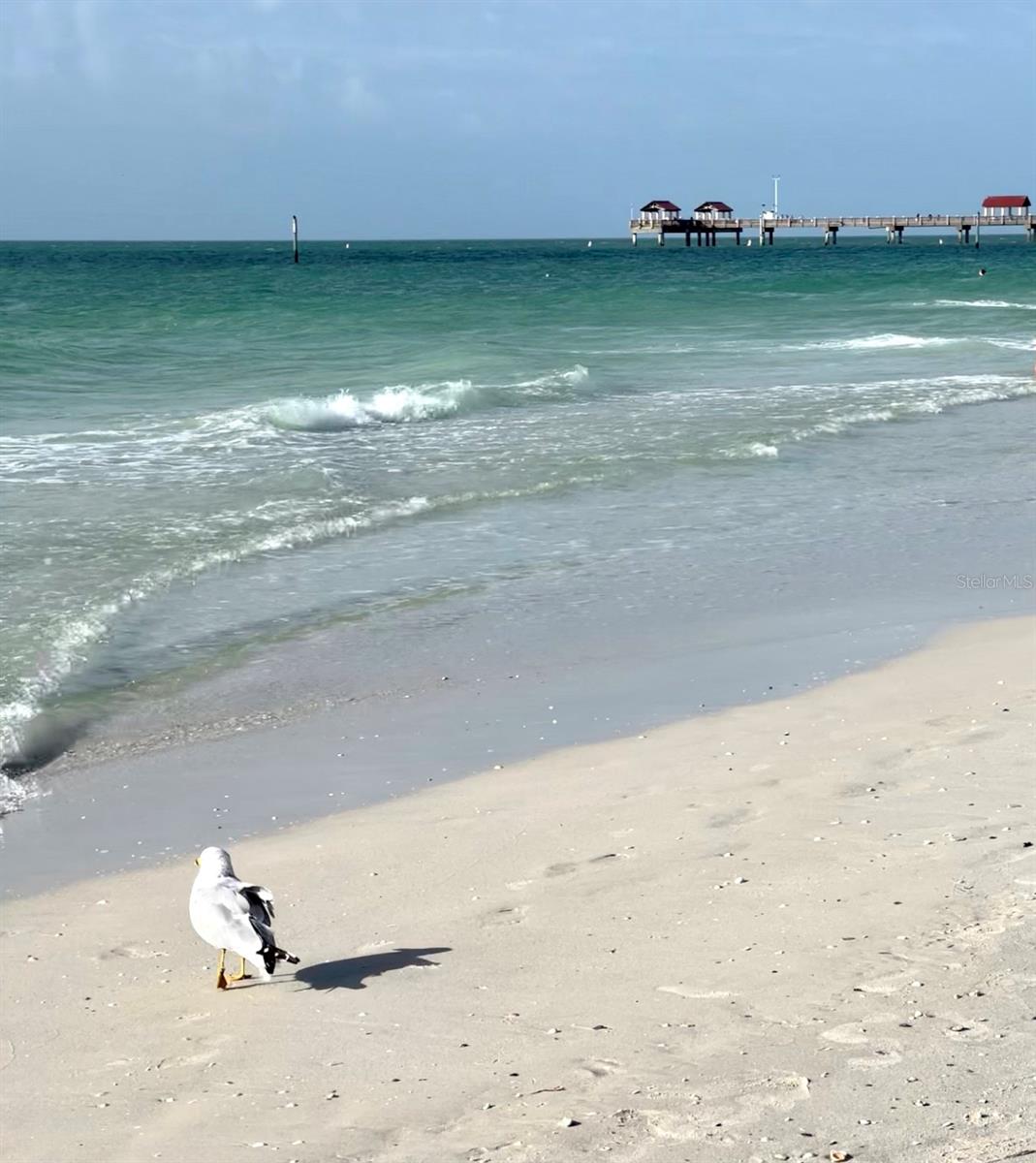 Image 74 of 91 For 1505 Laura Street