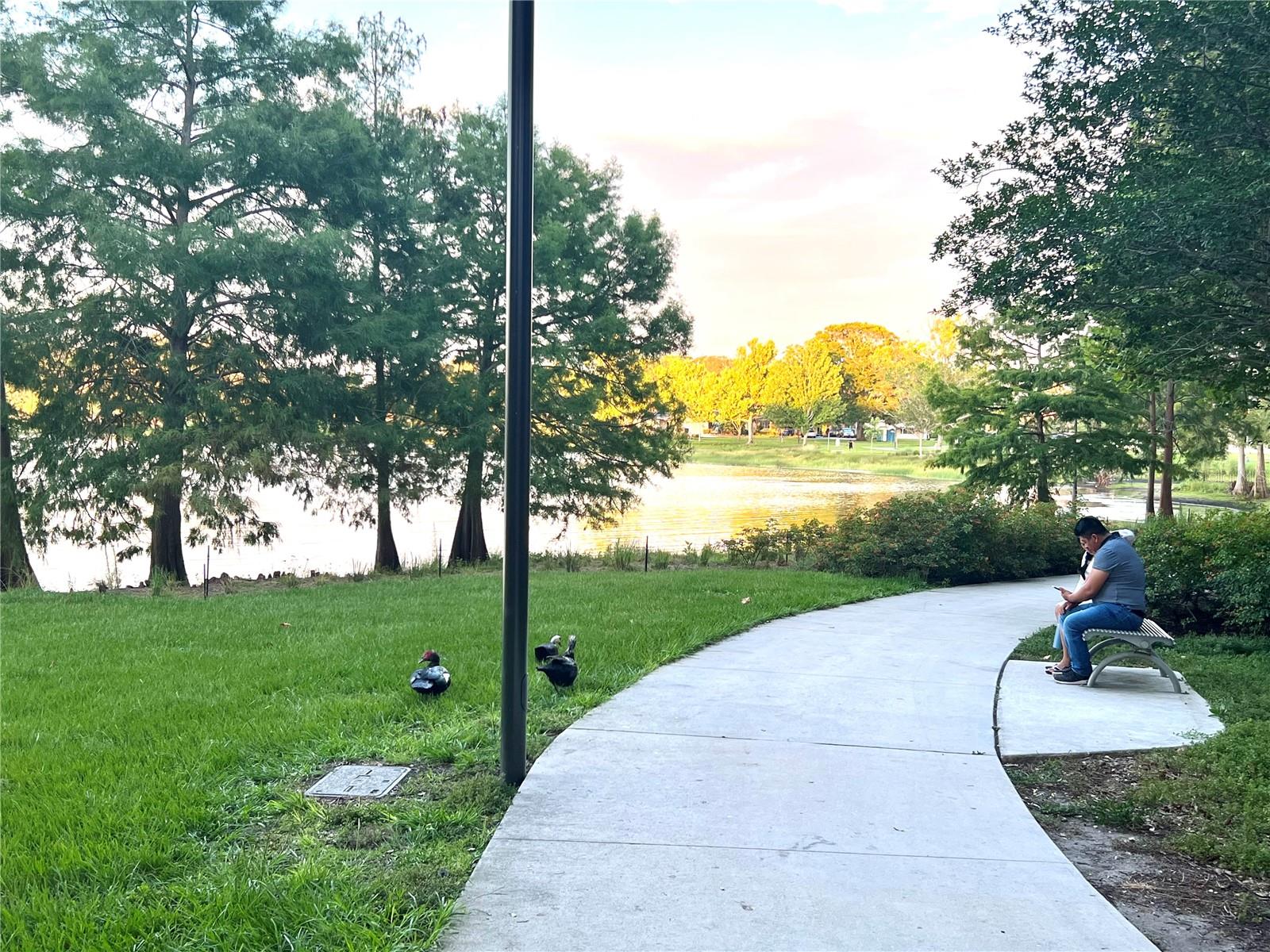 Image 80 of 91 For 1505 Laura Street