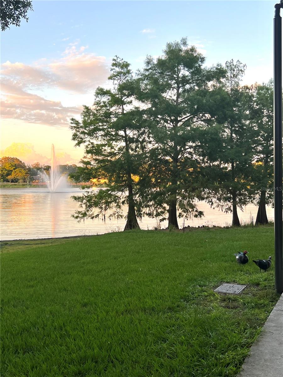 Image 81 of 91 For 1505 Laura Street