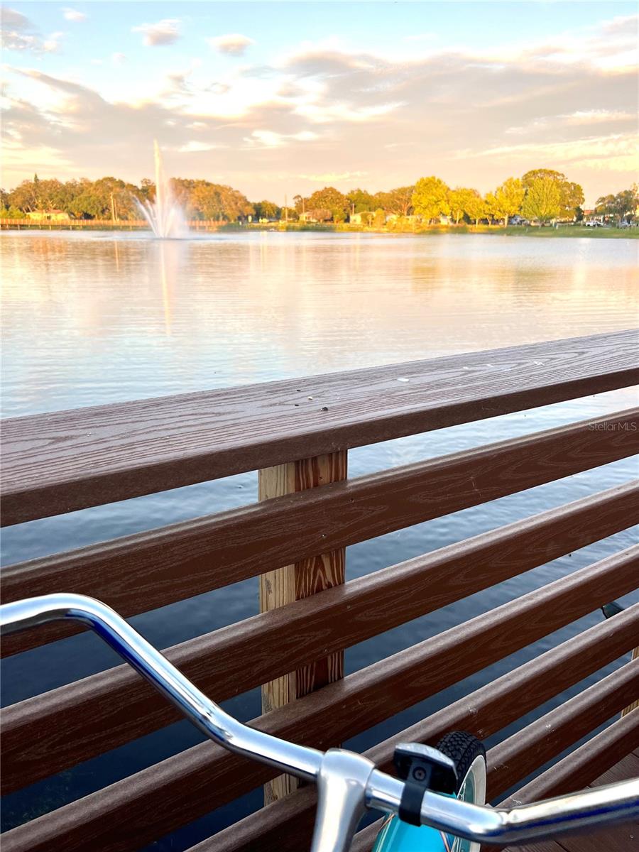 Image 85 of 91 For 1505 Laura Street