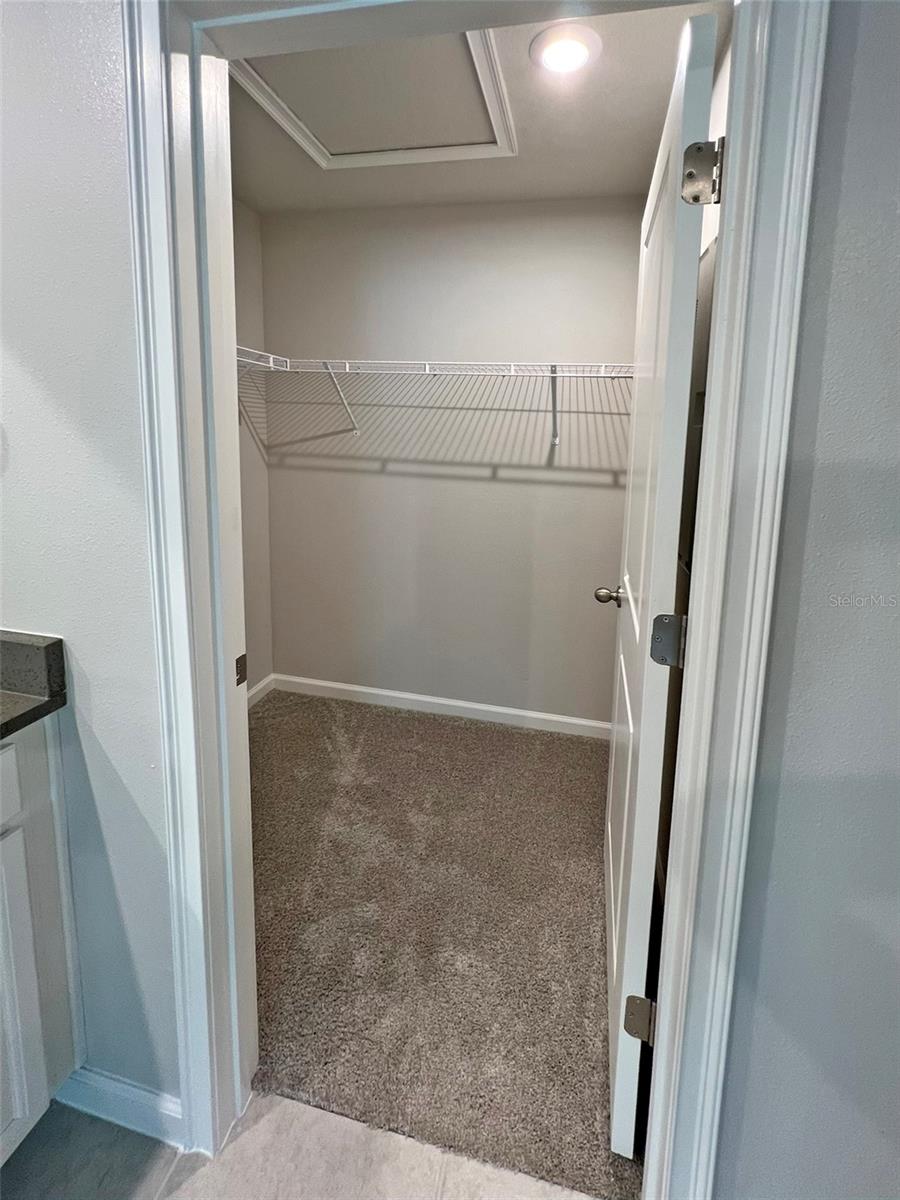 Image 18 of 29 For 3254 Moonlit Lily Place