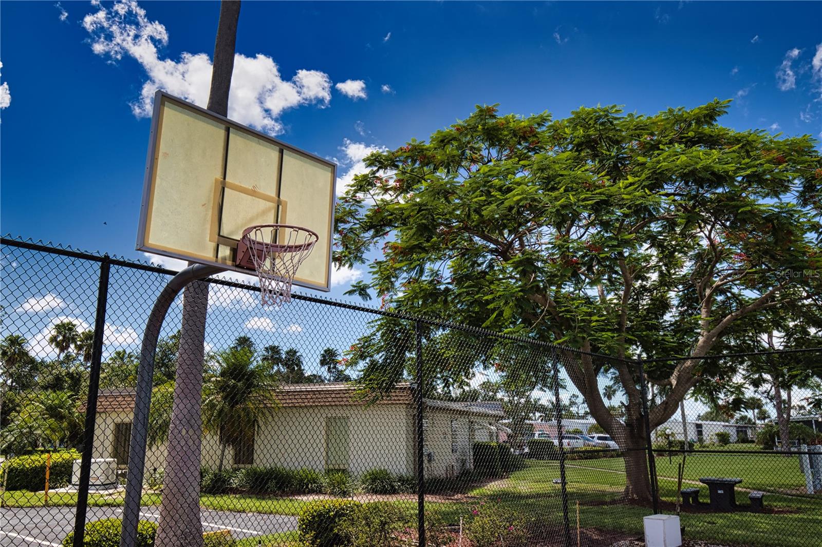 Image 67 of 71 For 677 El Tango