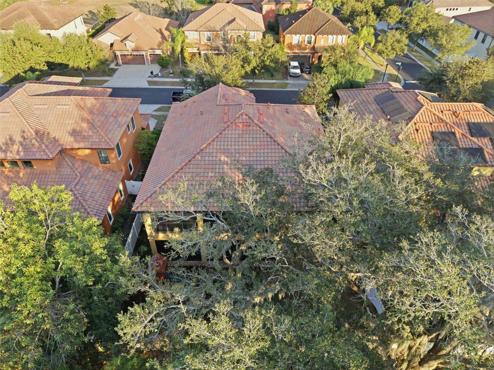 Image 41 of 42 For 2651 Calvano Drive