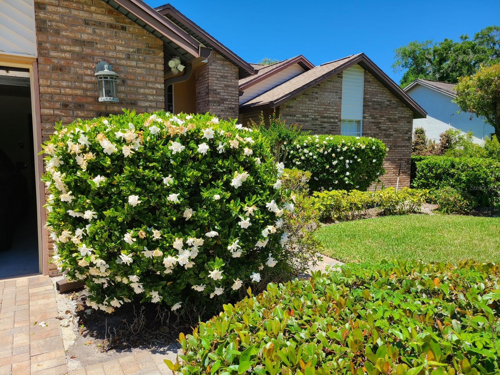 Image 44 of 47 For 14908 Palmcrest Place