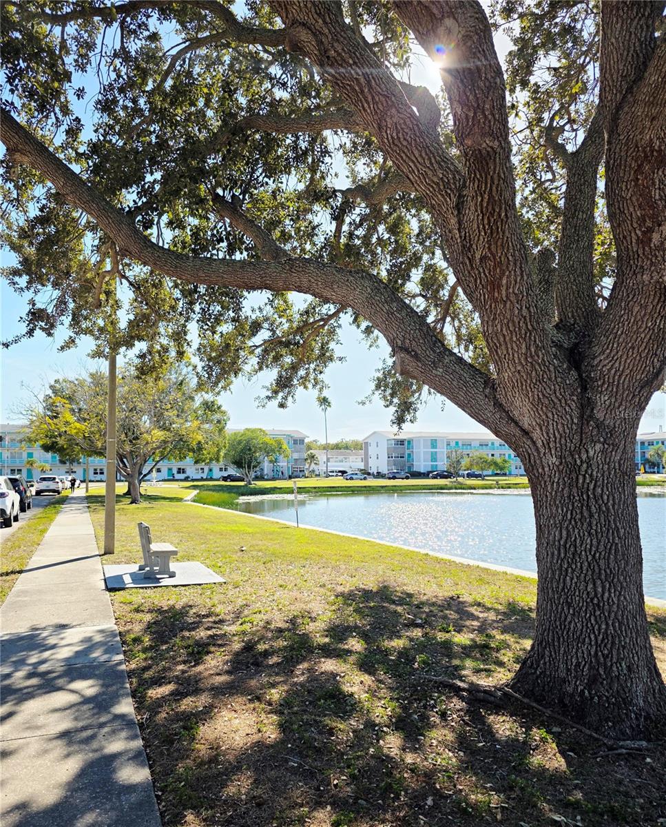 Image 17 of 17 For 5945 21st Street N 18