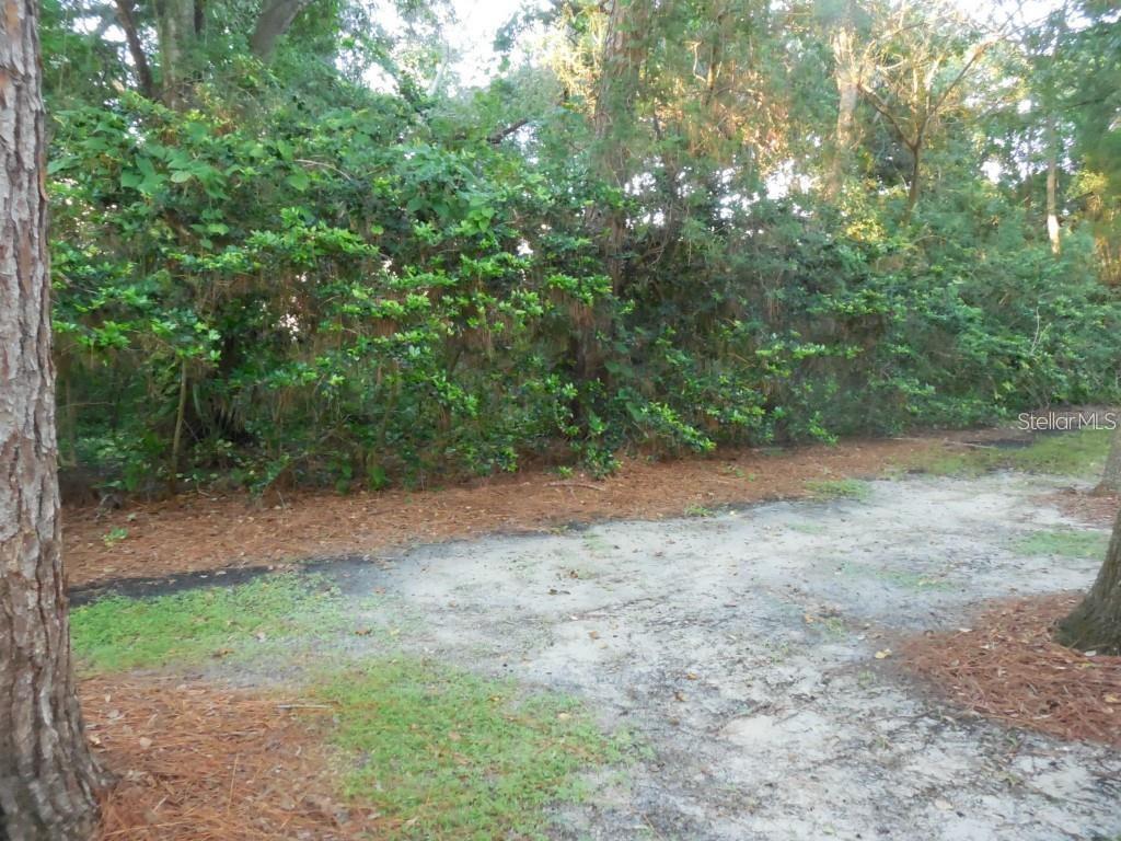 Image 14 of 21 For 5607 67th Avenue N 314