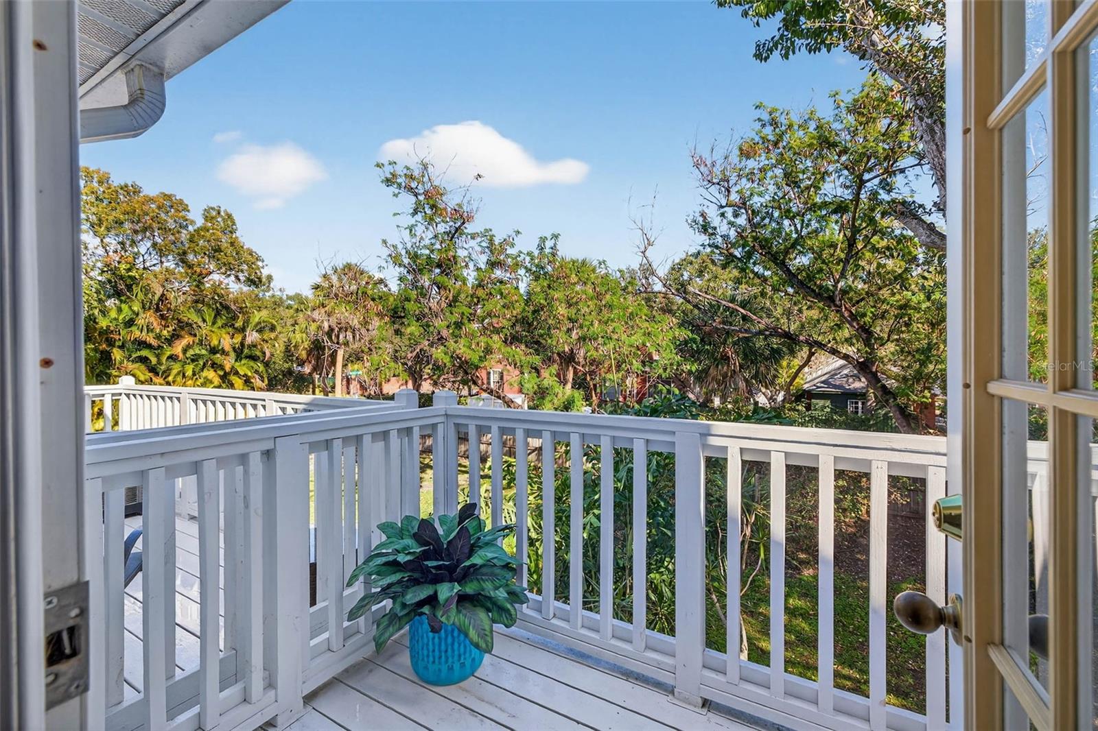 Image 15 of 31 For 5300 Bayshore Boulevard C6