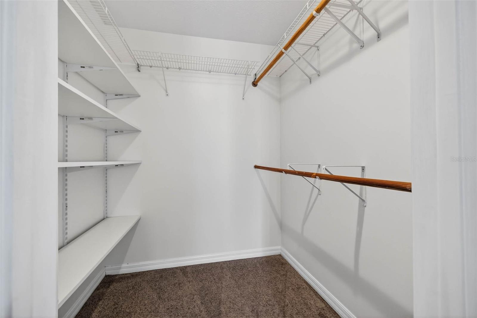 Image 20 of 31 For 5300 Bayshore Boulevard C6