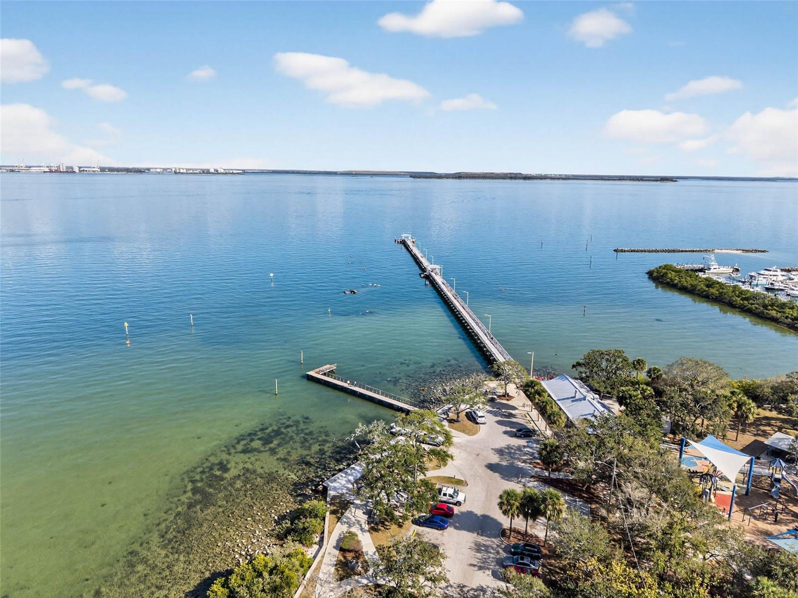 Image 30 of 31 For 5300 Bayshore Boulevard C6