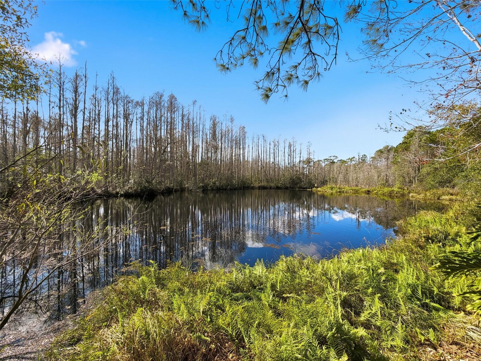 Listing photo id 60 for 18324 Jorene Road