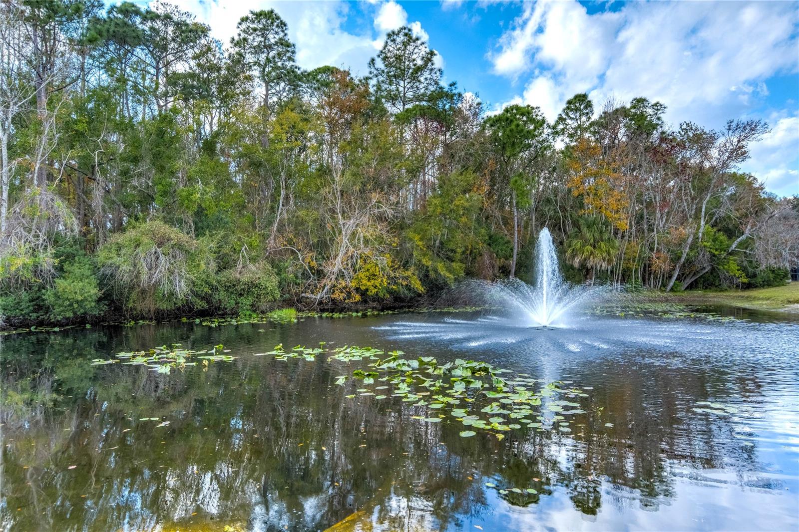 Image 50 of 55 For 9550 Charlesberg Drive