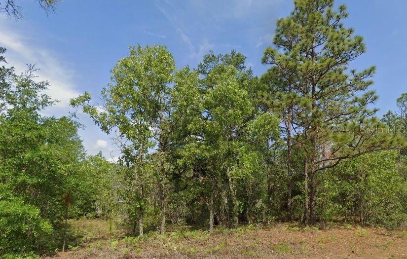 Image 3 of 3 For 6502 Matheson Drive