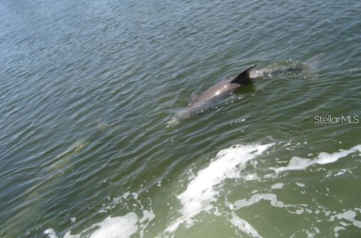 Image 16 of 27 For 464 Paula Drive N 323