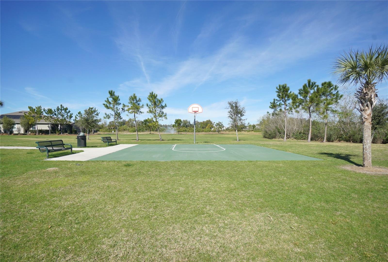 Image 22 of 33 For 34480 Wynthorne Place