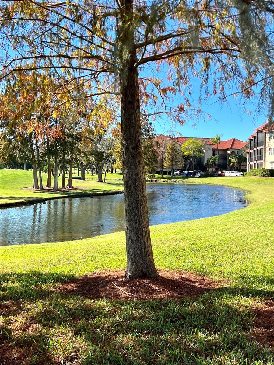 Image 43 of 45 For 2400 Feather Sound Drive 332