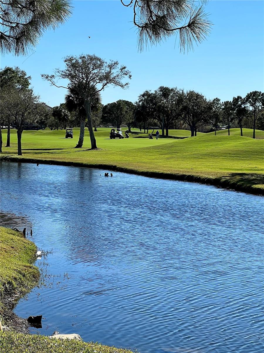 Image 44 of 45 For 2400 Feather Sound Drive 332