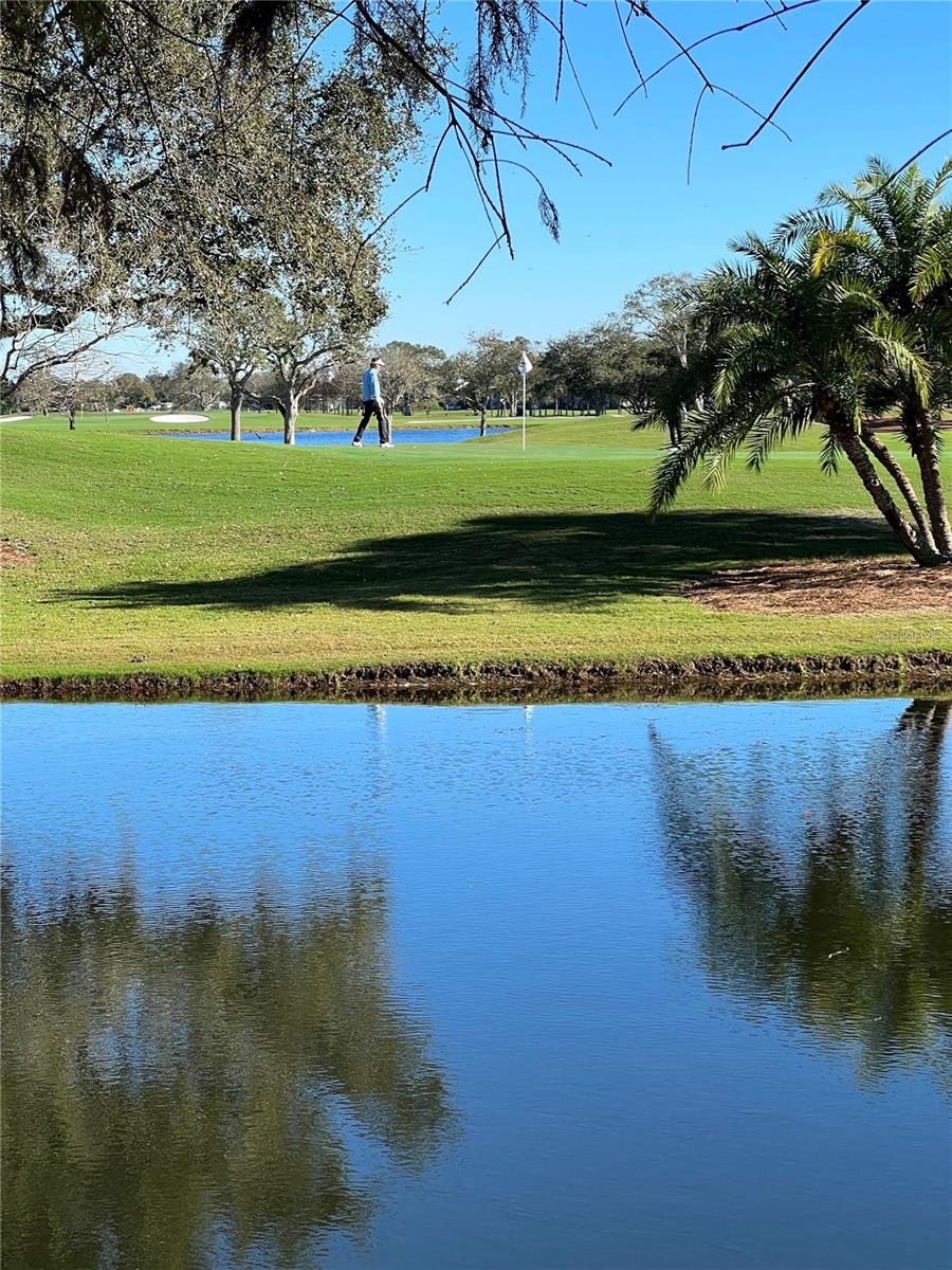 Image 45 of 45 For 2400 Feather Sound Drive 332