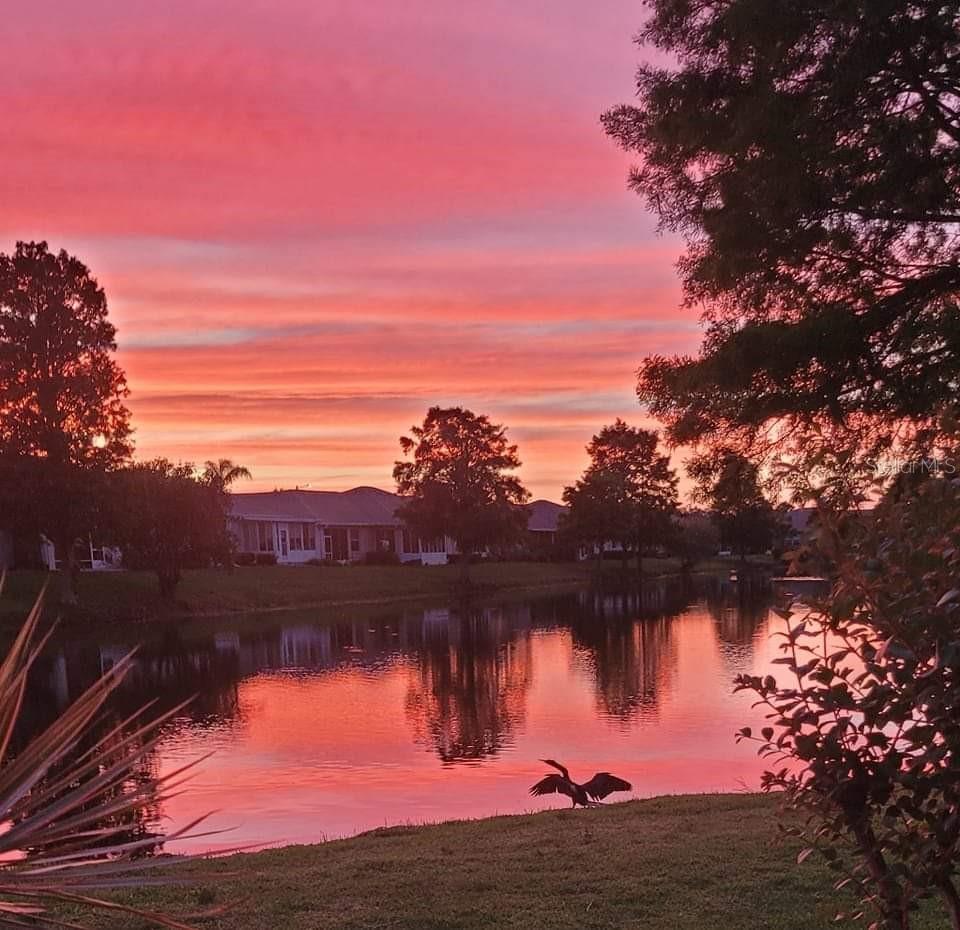 Image 2 of 32 For 834 Tremont Greens Lane 137