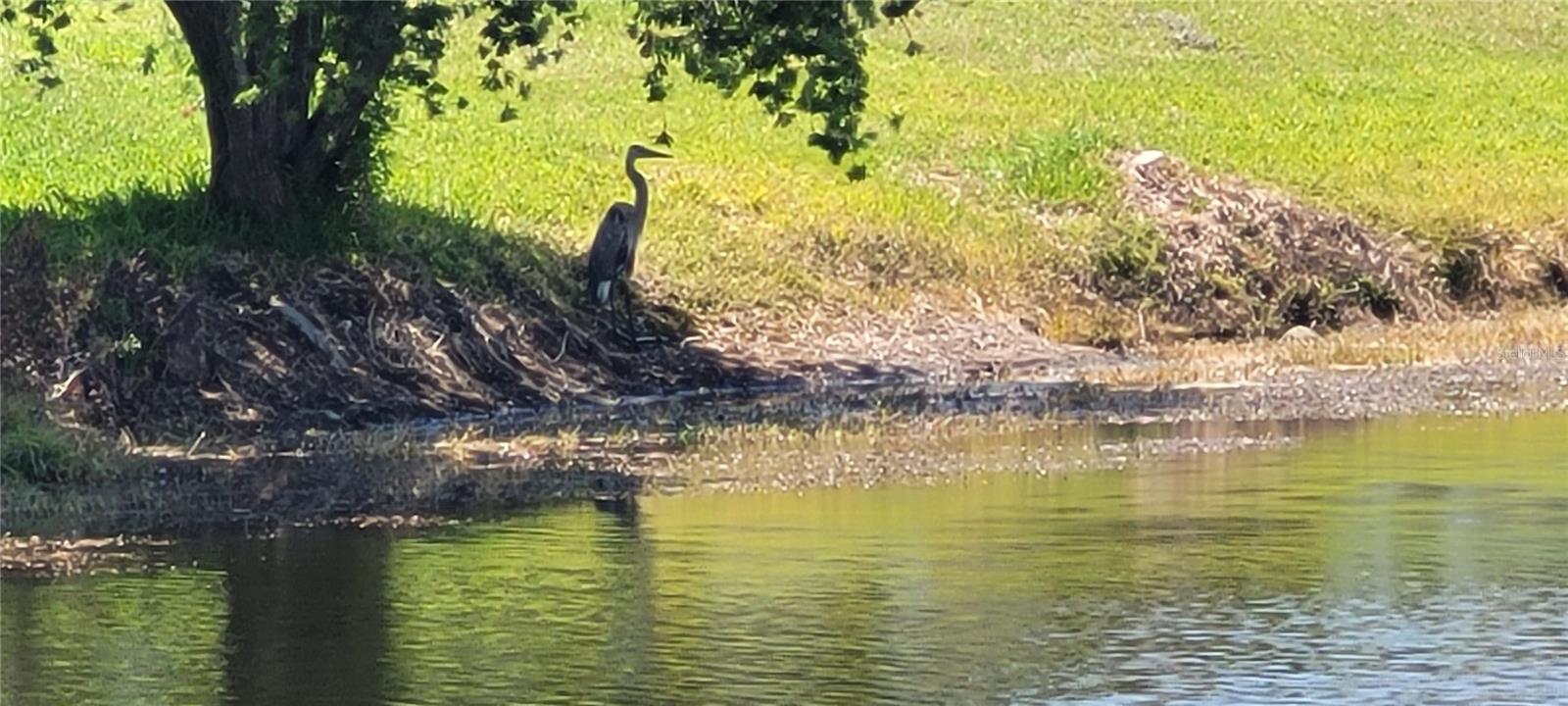 Image 31 of 32 For 834 Tremont Greens Lane 137