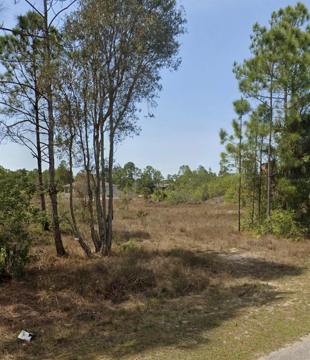 Details for 919 Euclid Avenue, LEHIGH ACRES, FL 33972