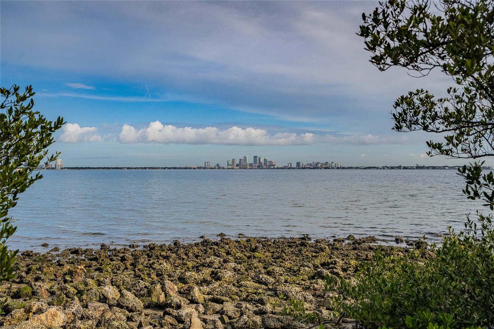 Listing photo id 6 for 6213 Sanders Drive