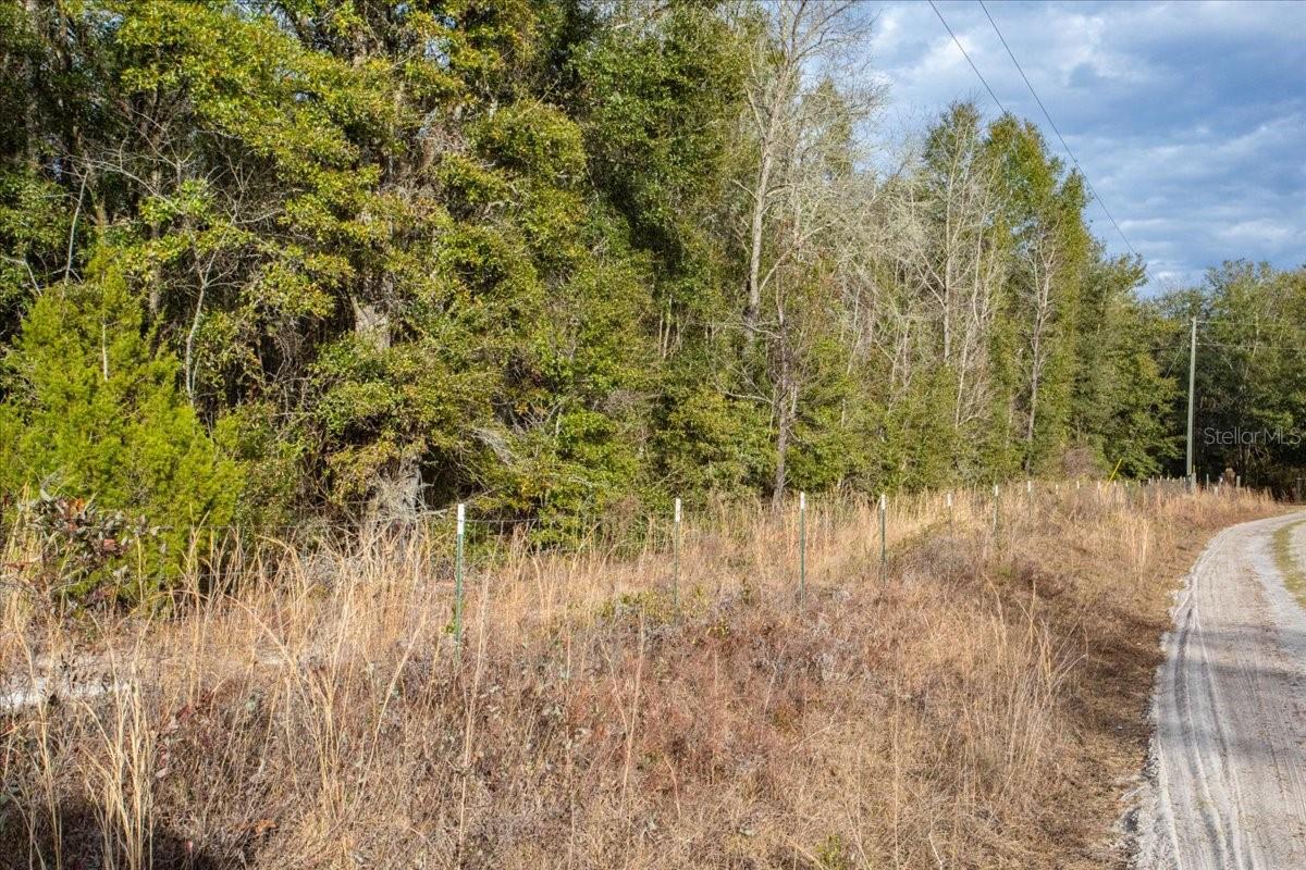 Image 4 of 14 For Tbd Maplewood Place Lot 5