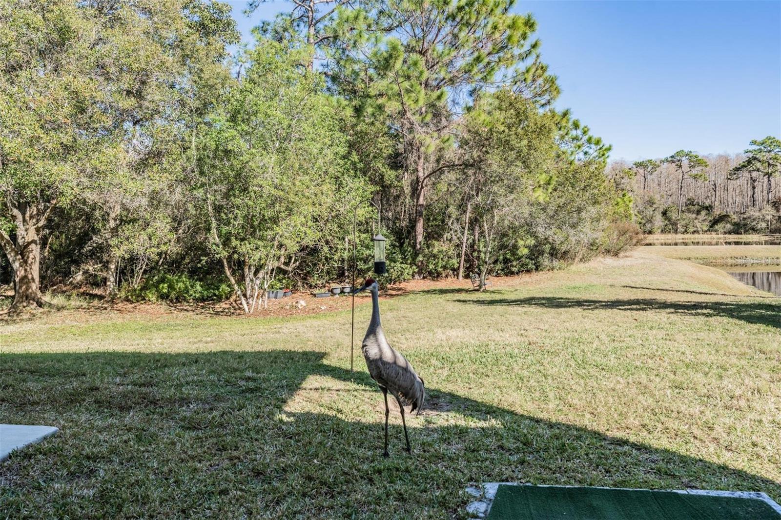 Image 40 of 93 For 8506 Eagle Brook Drive