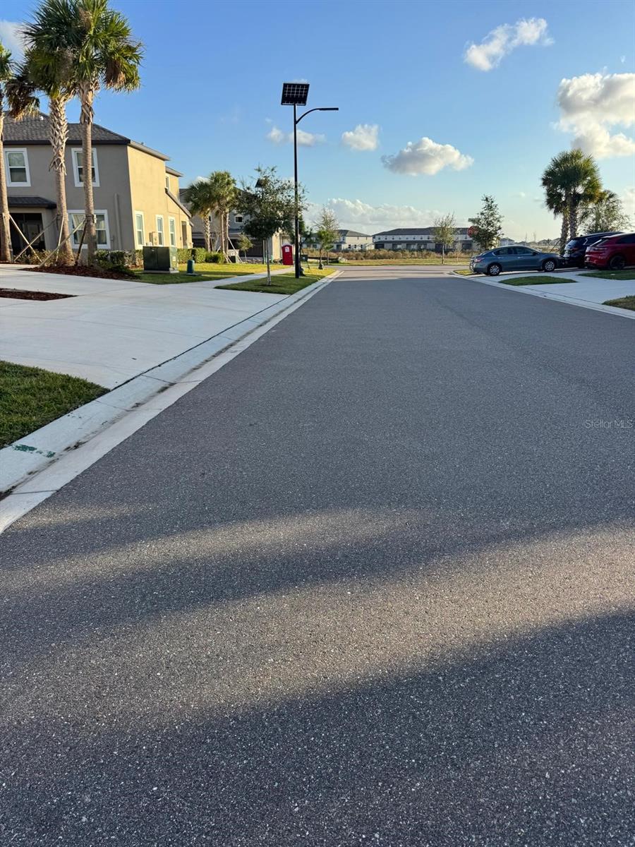 Image 17 of 18 For 10308 Lavender Aster Trail