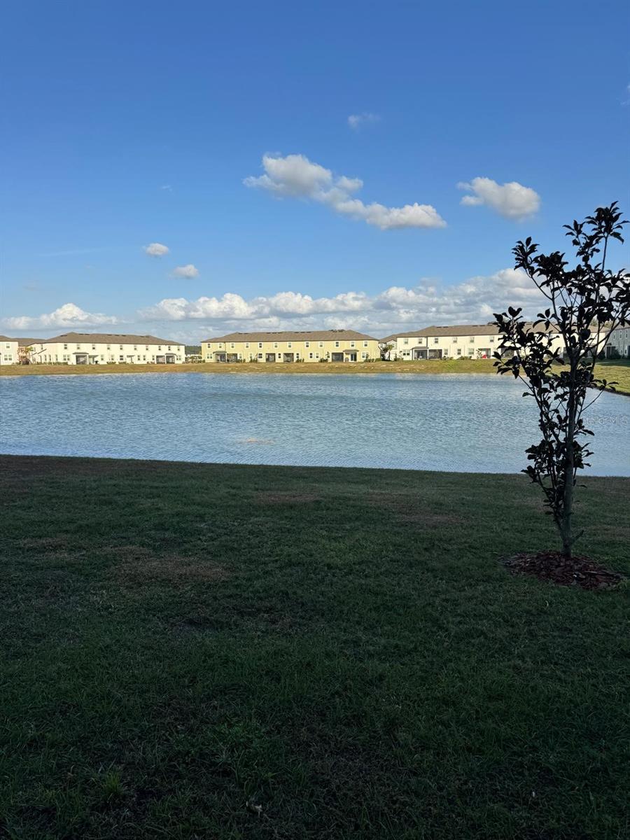 Image 5 of 18 For 10308 Lavender Aster Trail