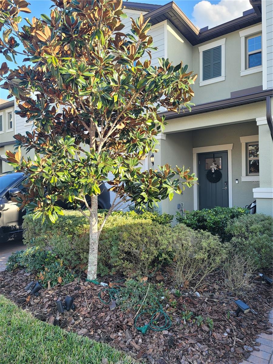 Image 45 of 45 For 21838 Lyonia Lane