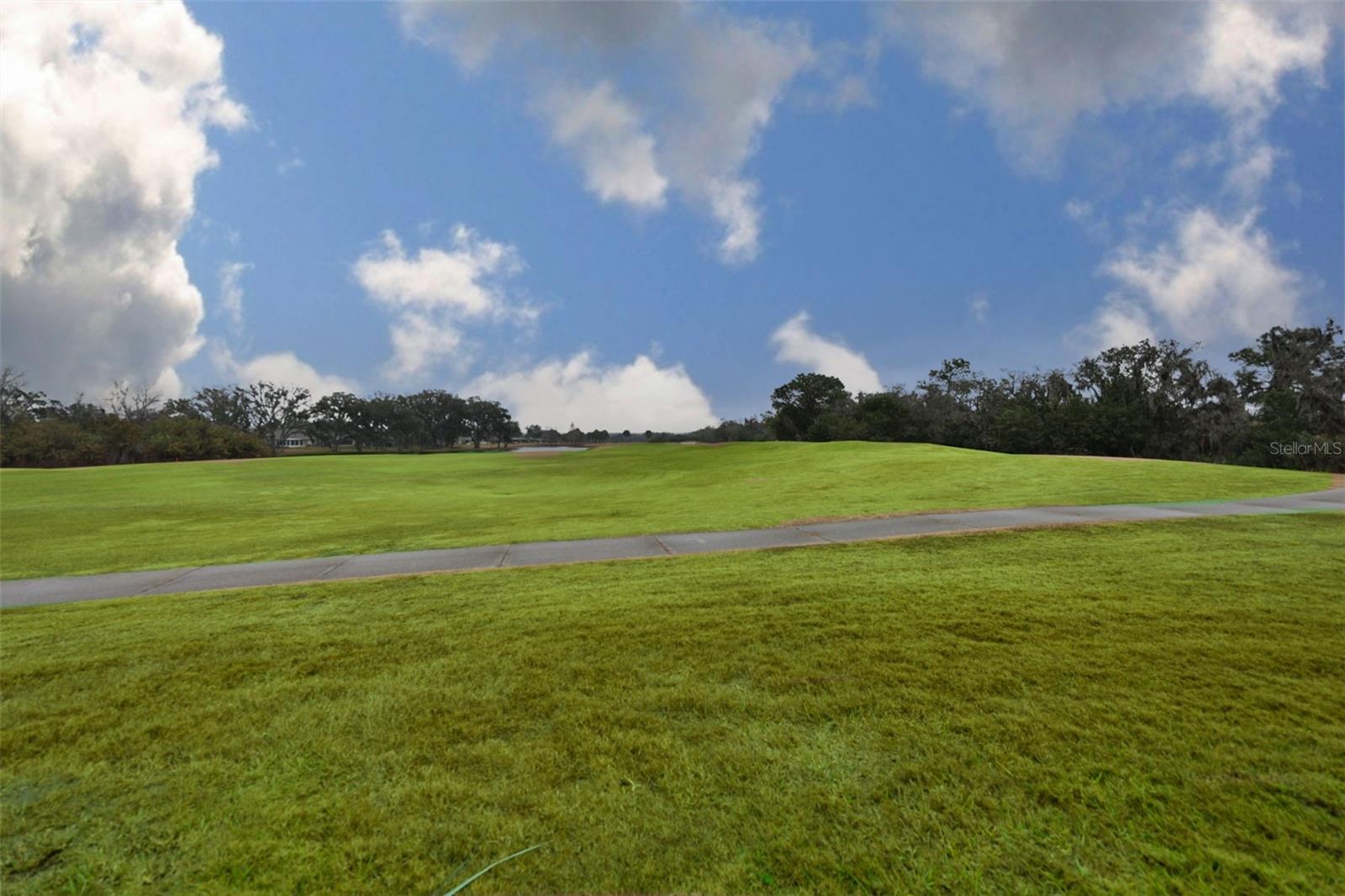 Image 44 of 98 For 2203 Oakley Green Drive 45