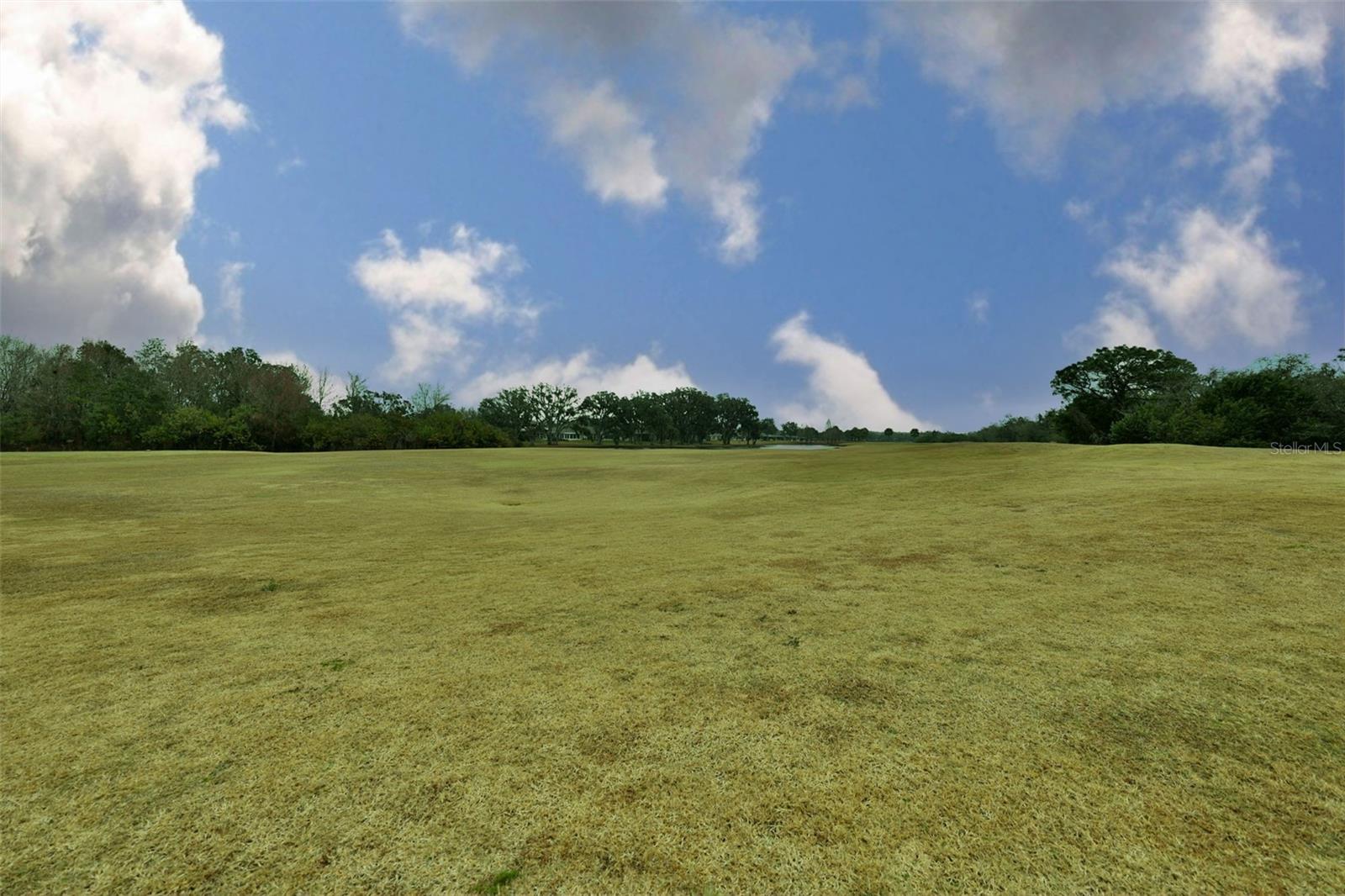 Image 45 of 98 For 2203 Oakley Green Drive 45