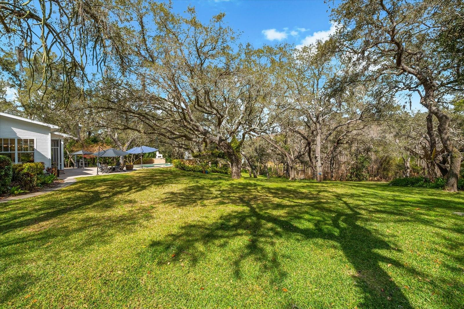 Image 55 of 71 For 653 Old East Lake Road