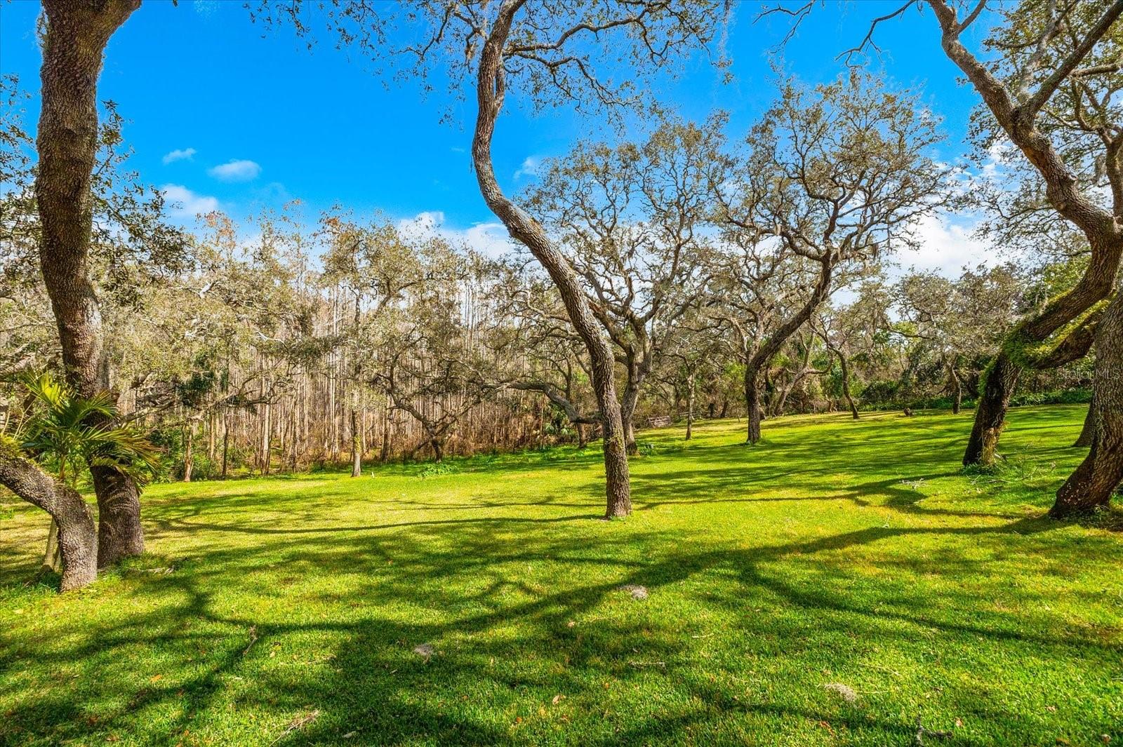 Image 60 of 71 For 653 Old East Lake Road