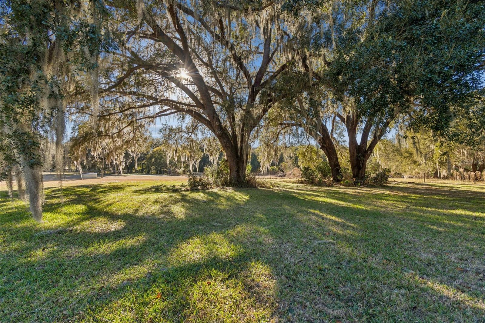 Image 47 of 59 For 5101 Cr 316a