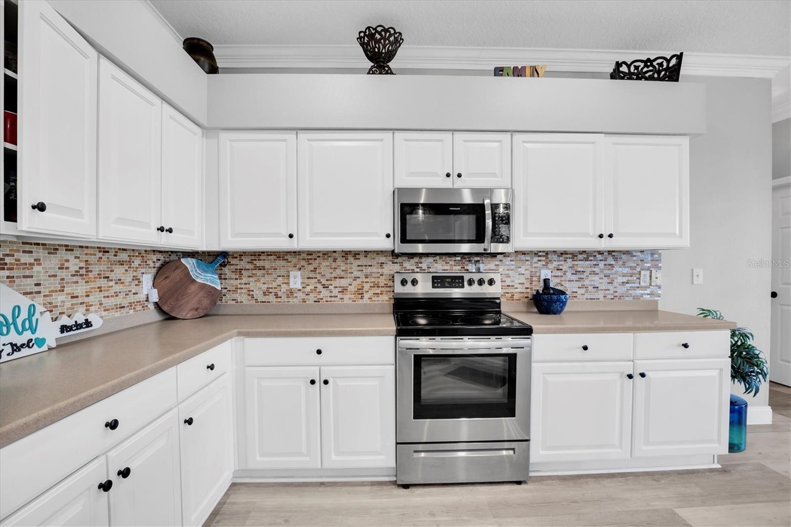 Listing photo id 10 for 12511 Royal Dublin Avenue