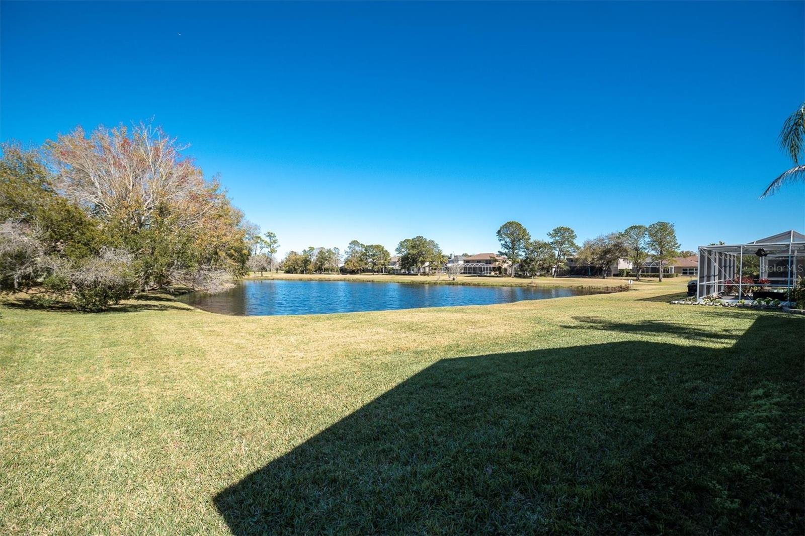 Listing photo id 30 for 12511 Royal Dublin Avenue