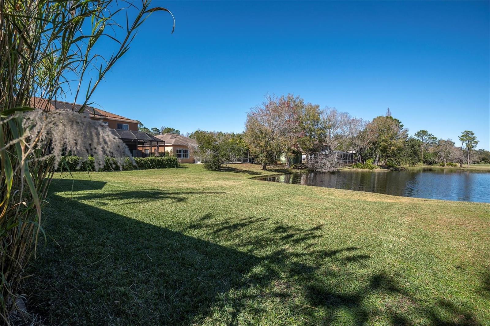 Listing photo id 34 for 12511 Royal Dublin Avenue