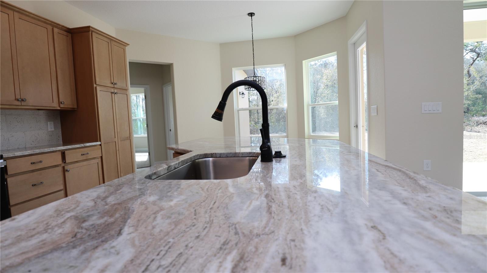 Image 4 of 24 For 12085 Harris Hawk Road