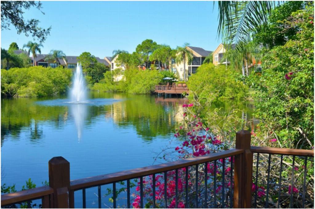 Image 8 of 14 For 11901 4th Street N 3101