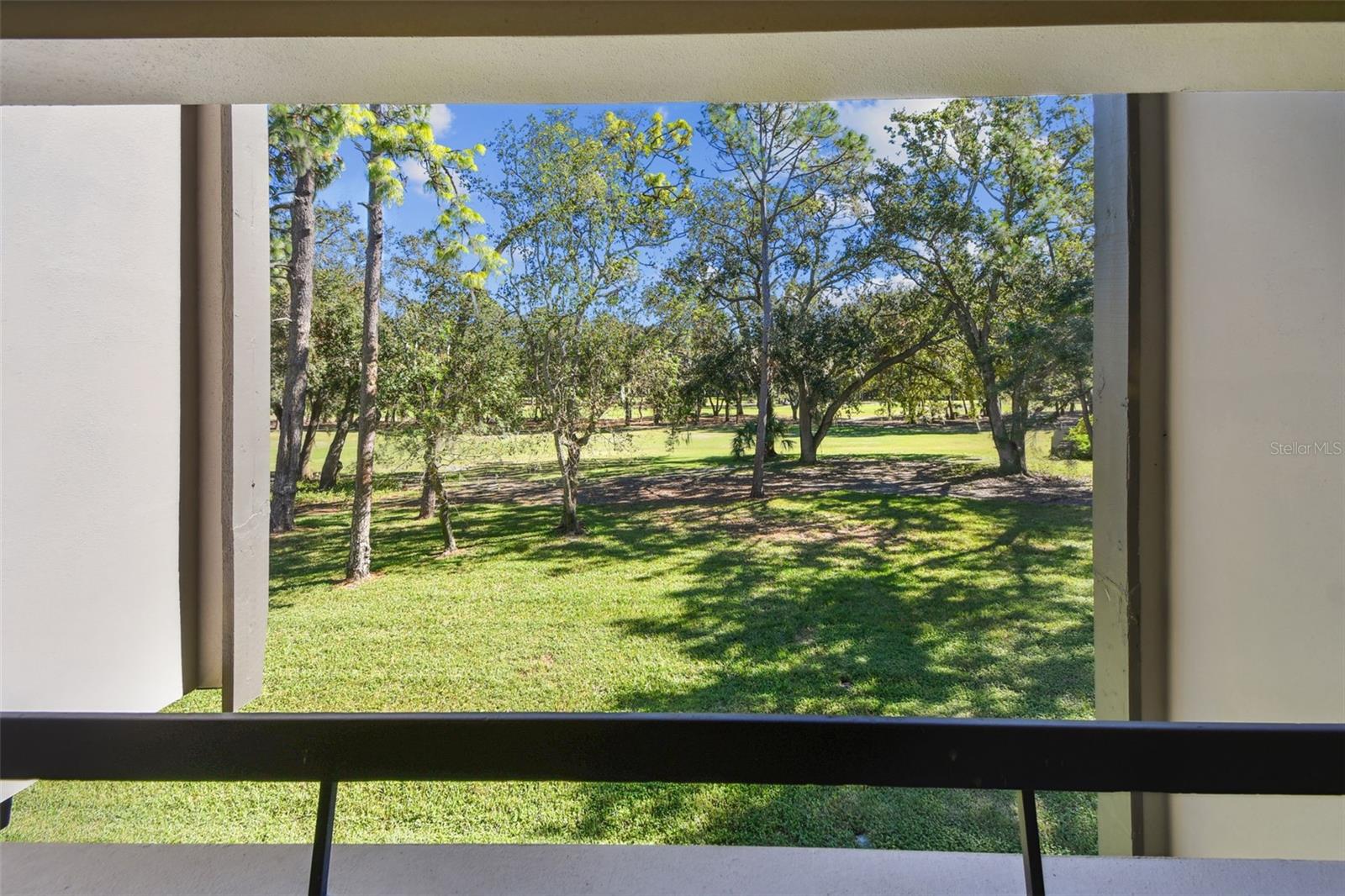 Listing photo id 22 for 36750 Us Highway 19 N 19219