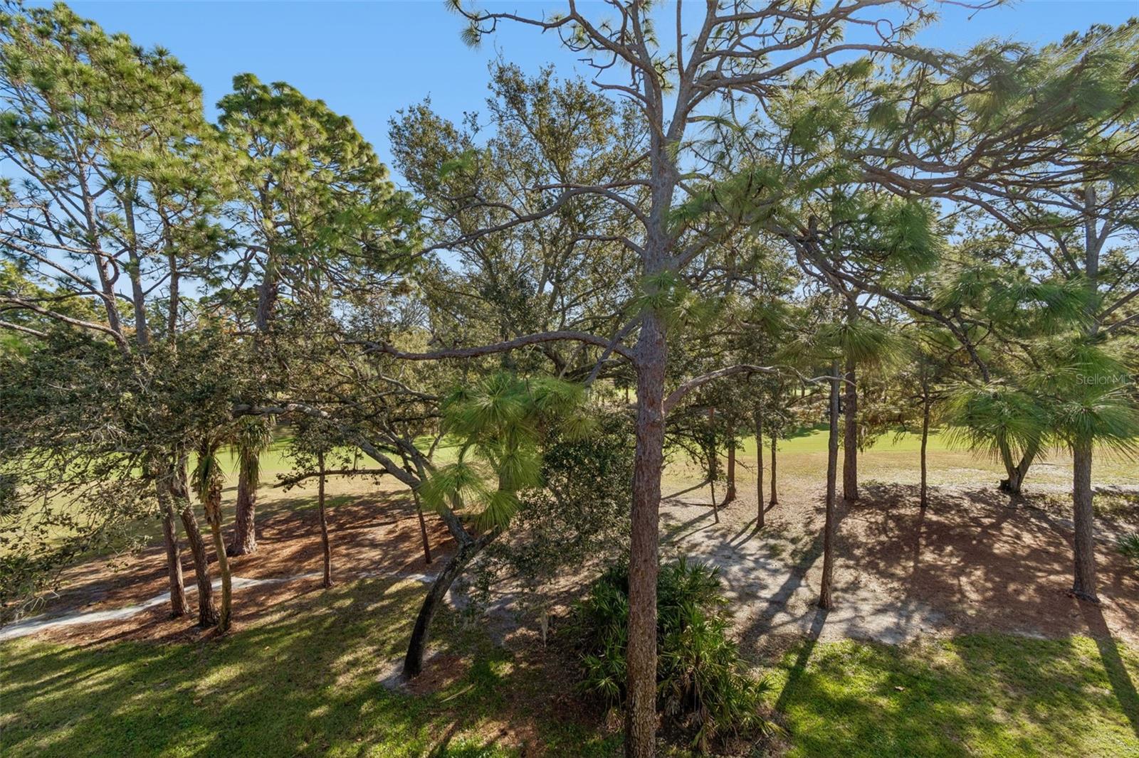 Image 30 of 58 For 36750 Us Highway 19 N 19306