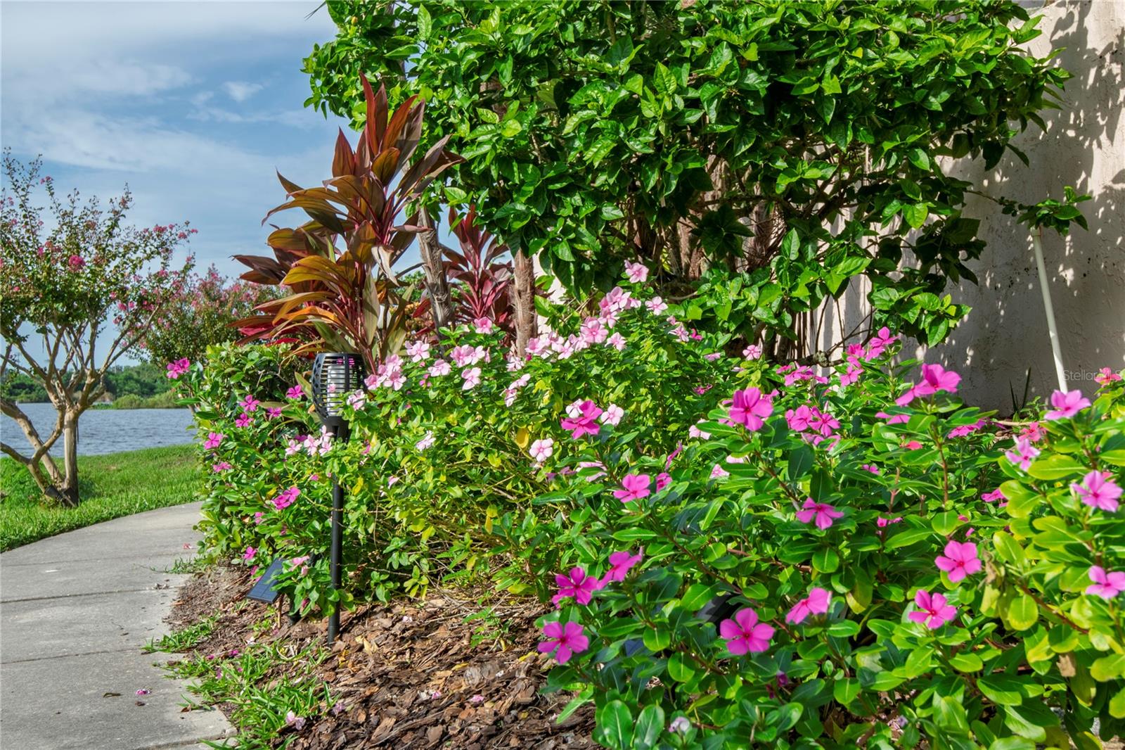 Image 15 of 17 For 1007 Bayshore Boulevard 107