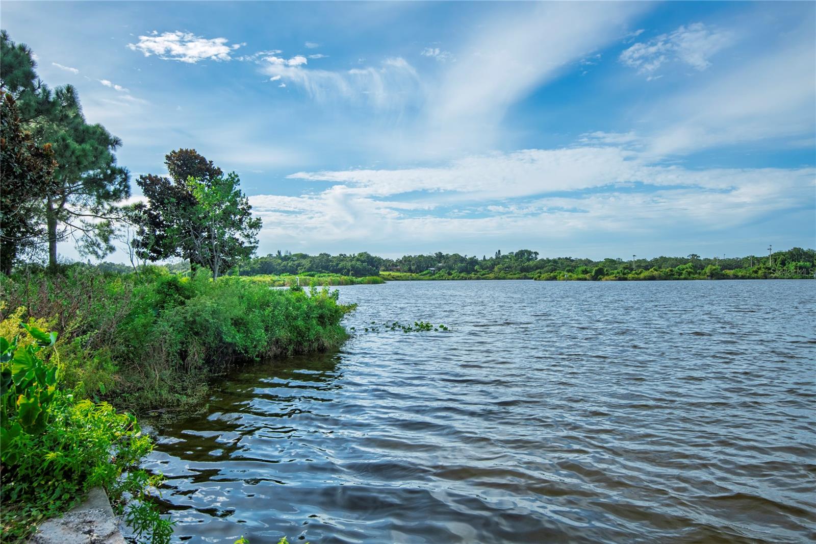 Image 17 of 17 For 1007 Bayshore Boulevard 107